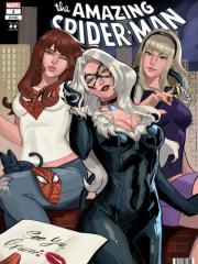 Spider-Man Mayhem No