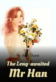 The Long-awaited Mr 