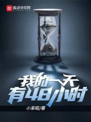 48 Hours a Day Novel