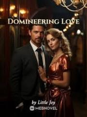 Domineering Love Nov
