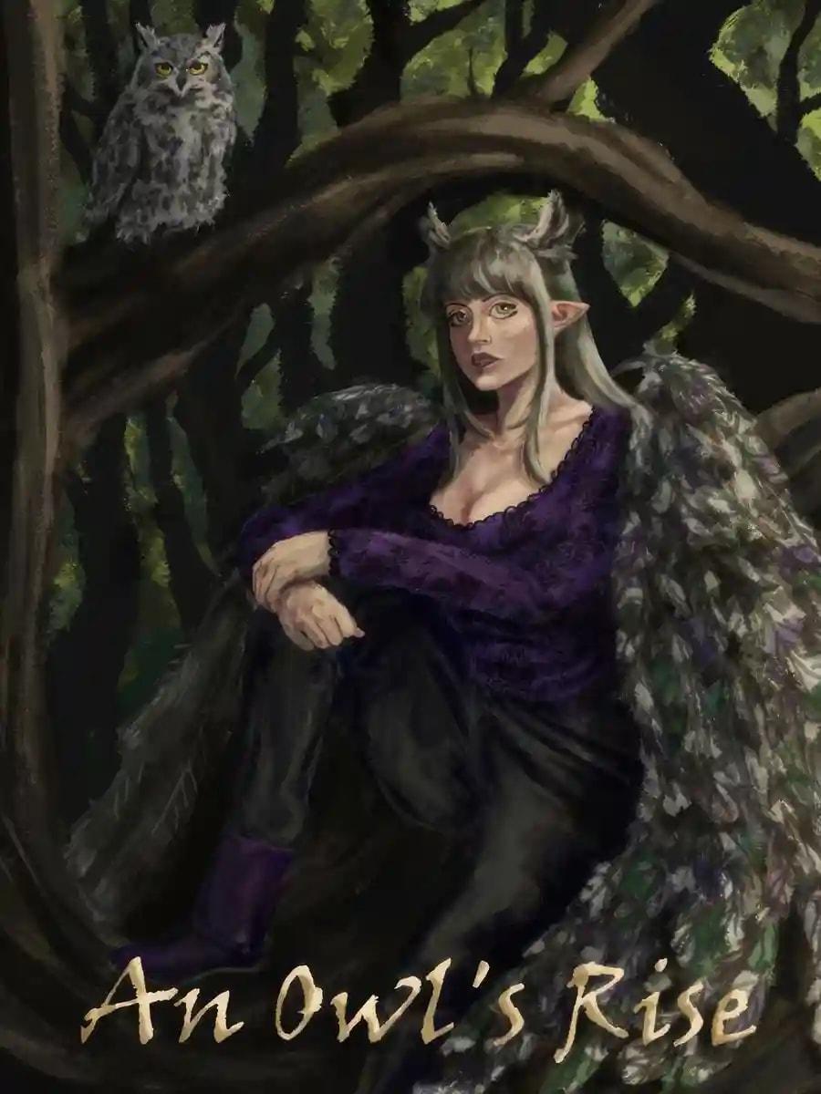An Owl's Rise cover