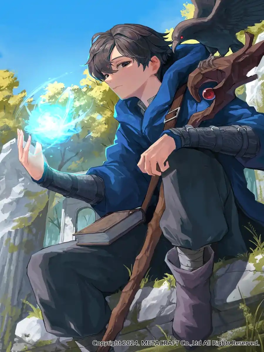 Became a Medieval Fantasy Wizard cover
