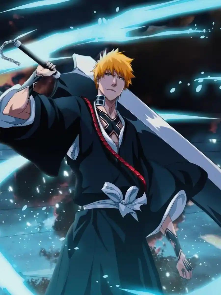 Bleach: The Shinigam
