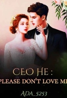CEO He : Please Don't Love Me cover