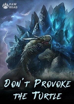 Don't Provoke the Turtle cover