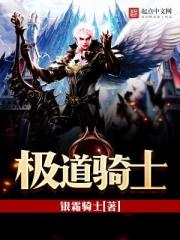Extreme Knight Novel