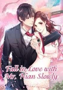 Fall in Love with Mr. Nian Slowly cover