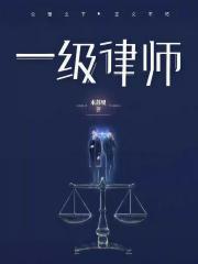 First-Class Lawyer N