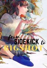 From Sidekick to Big