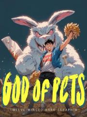 God of Pets Novel cover