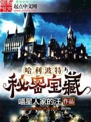 Harry Potter and the Secret Treasures cover
