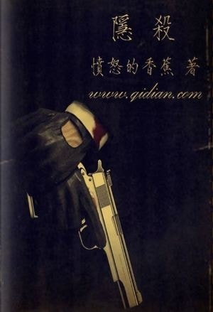 Hidden Assassin cover