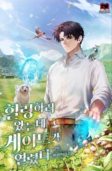 I came for Healing, but a Gate Appeared cover