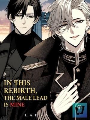 In This Rebirth, The Male Lead Is Mine [BL] cover