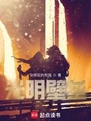 Light Barrier Novel