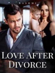 Love After Divorce N