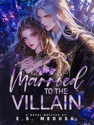 Married To The Villain cover