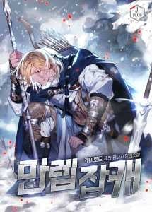 Max Level Miscellaneous Character cover