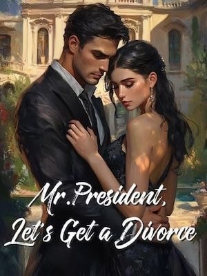 Mr.President, Let's Get a Divorce cover