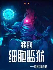 My Cell Prison Novel