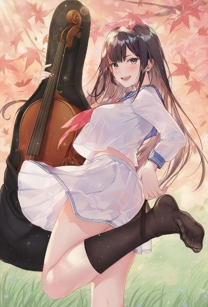 My Girlfriend Is a Cello Player cover