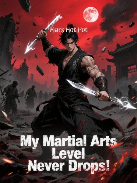My Martial Arts Leve