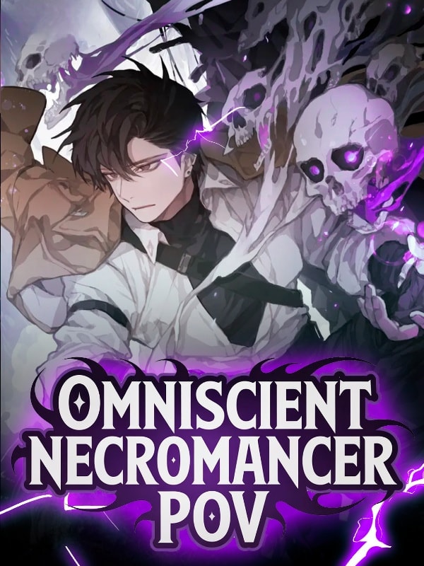 Omniscient Necromancer POV cover