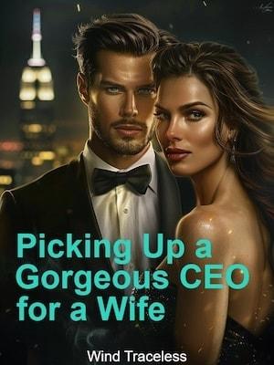 Picking Up a Gorgeous CEO for a Wife cover