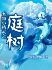 Pokémon Court Novel