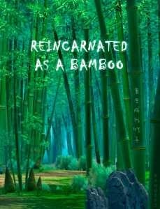 Reincarnated as A Bamboo cover