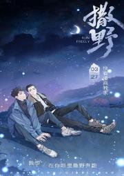 SAYE Novel