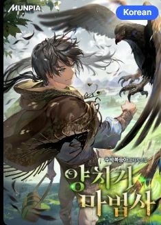 Shepherd Wizard cover