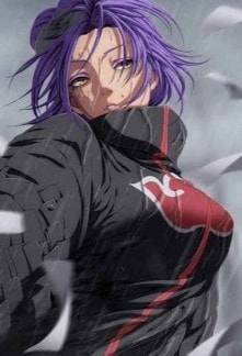 Shinobi Exam: First Question, Why Was Akatsuki Destroyed? cover