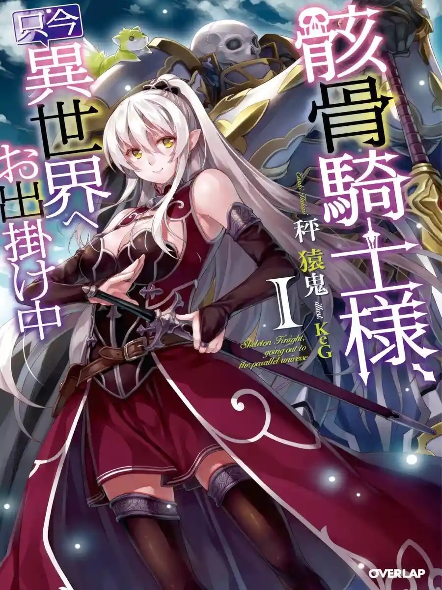 Skeleton Knight, in Another World cover