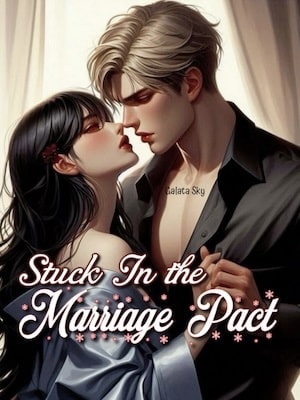 Stuck in The Marriage Pact cover
