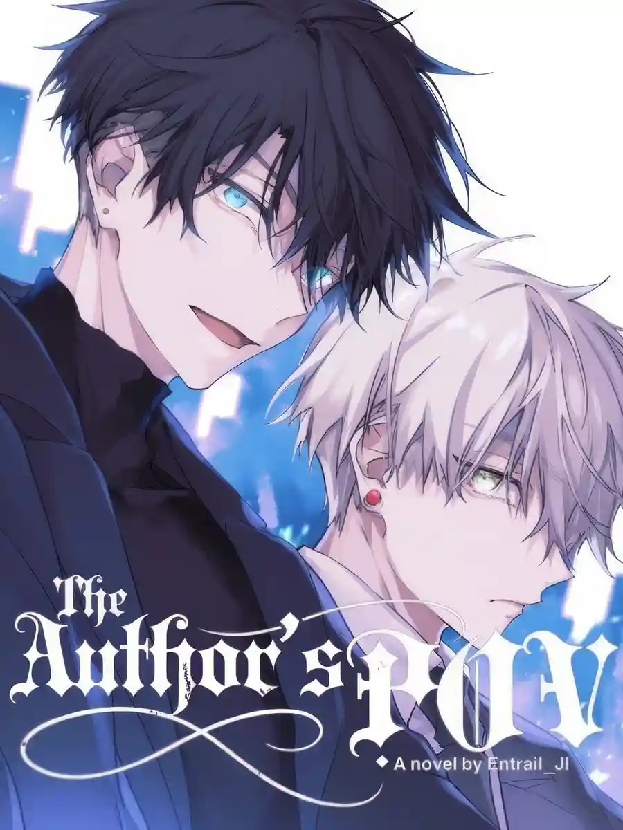 The Author's POV cover