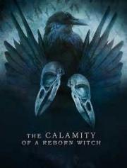 The Calamity of a Re