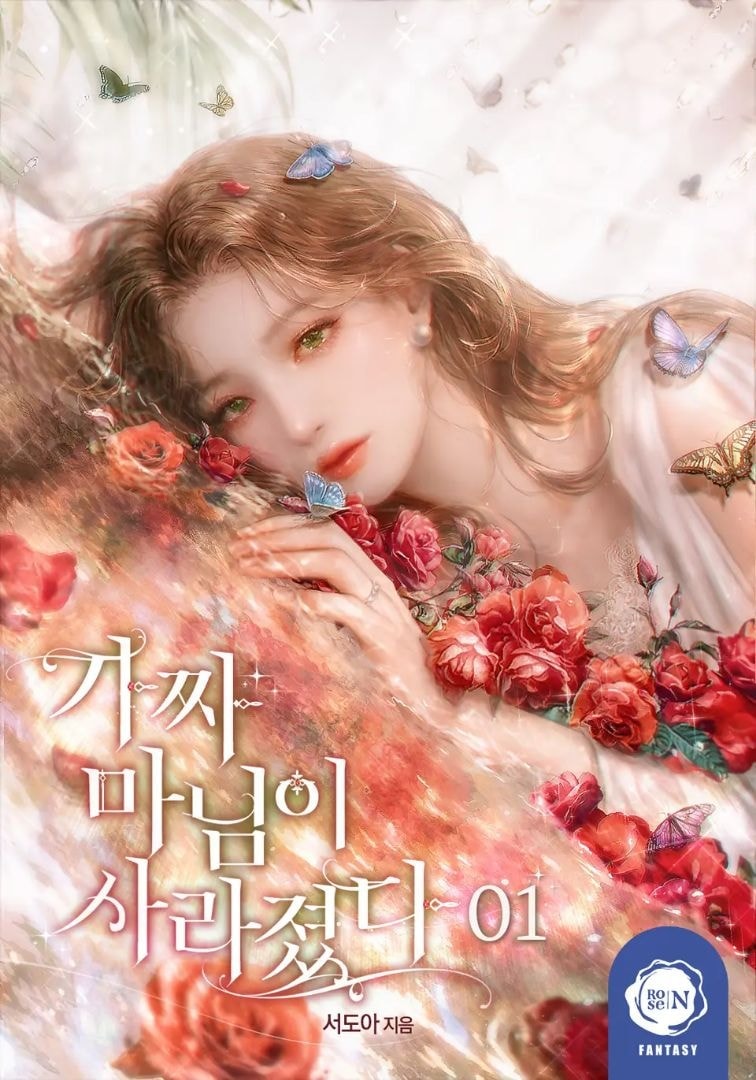 The Fake Madam Disappeared cover