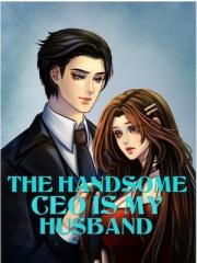 The Handsome CEO Is 