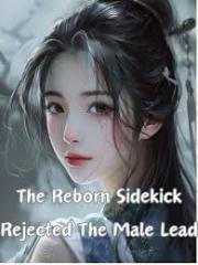 The Reborn Sidekick 