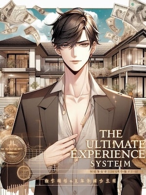 The ULTIMATE EXPERIENCE SYSTEM cover