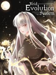 Void Evolution Syste