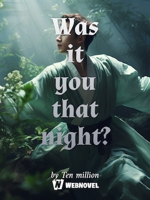 Was it you that night? cover
