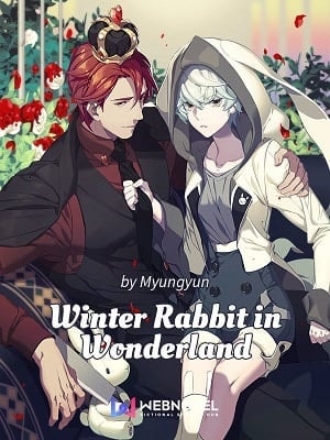 Winter Rabbit in Wonderland cover
